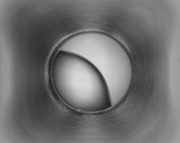 X0000111670676200907171445