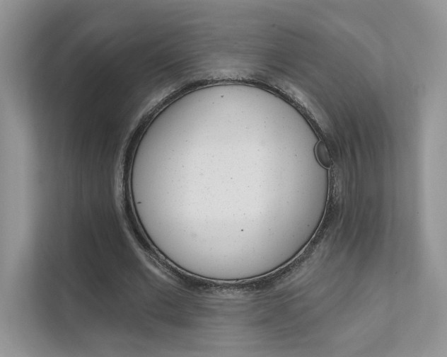 X0000111670677200907171445