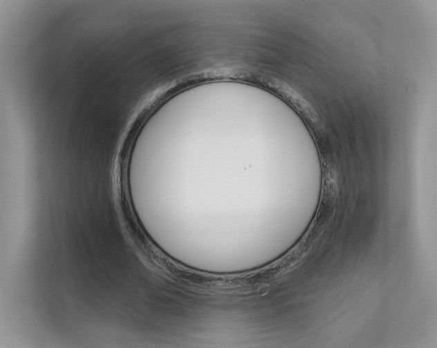 X0000111670678200907171445