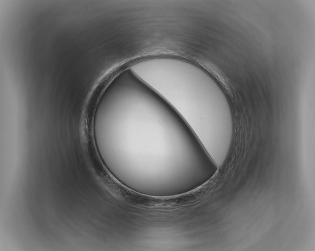X0000111670680200907171445