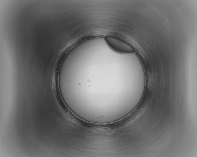 X0000111670681200907171445