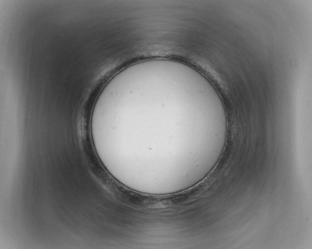 X0000111670683200907171445
