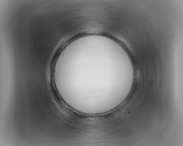 X0000111670686200907171445