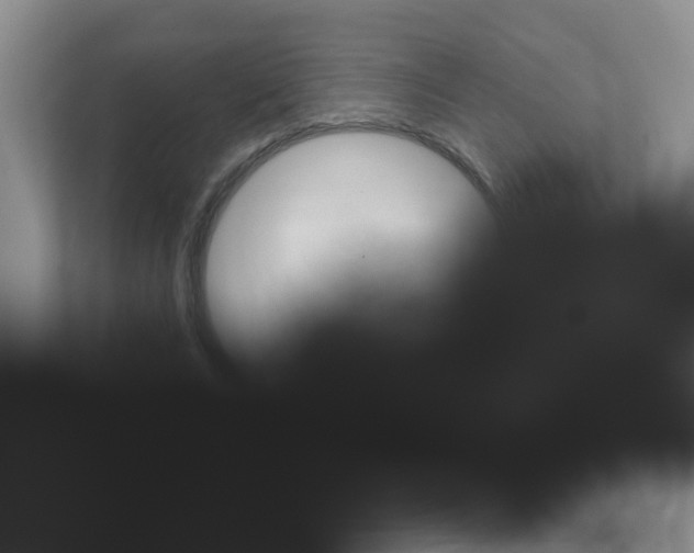 X0000111670688200907171445