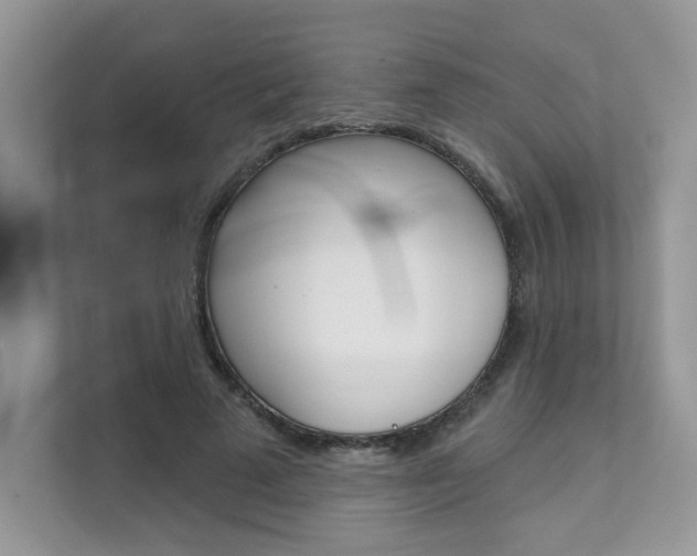 X0000111670689200907171445