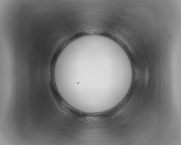 X0000111670690200907171445