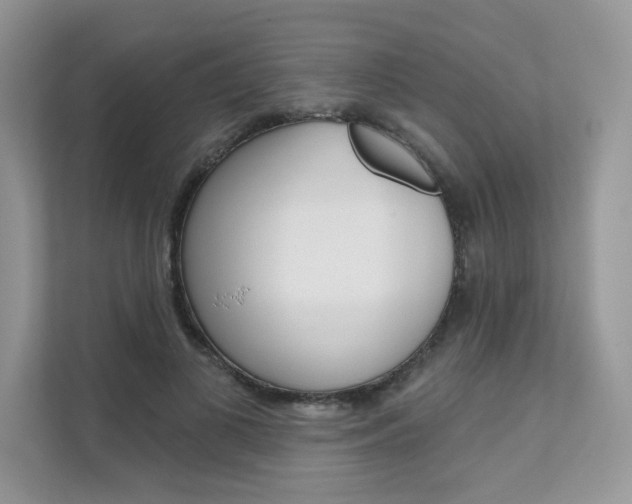 X0000111670693200907171445