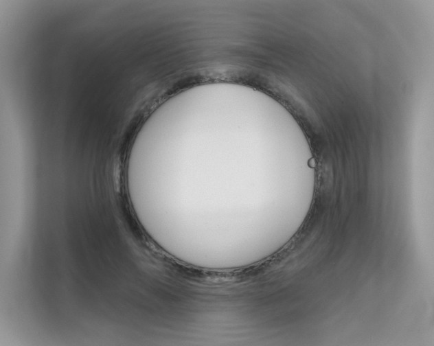 X0000111670694200907171444