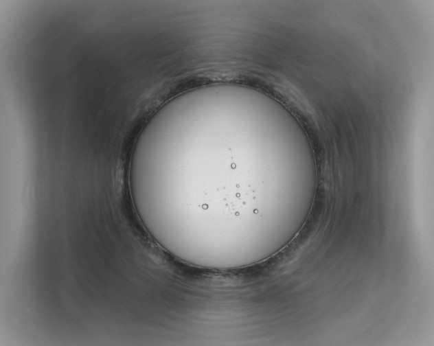 X0000111670697200907171444