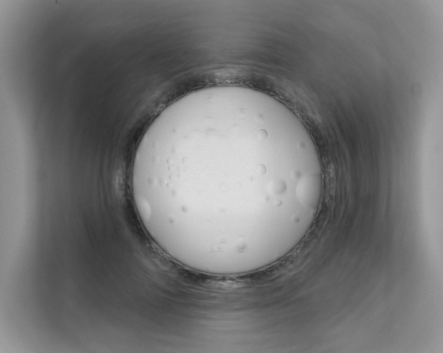 X0000111670698200907171444