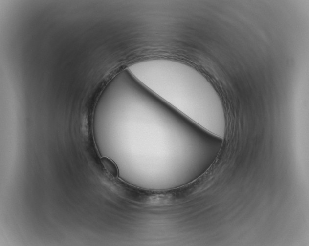 X0000111670700200907171444