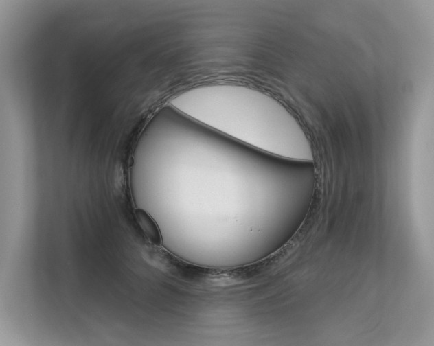 X0000111670704200907171444