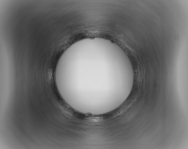 X0000111670711200907171444