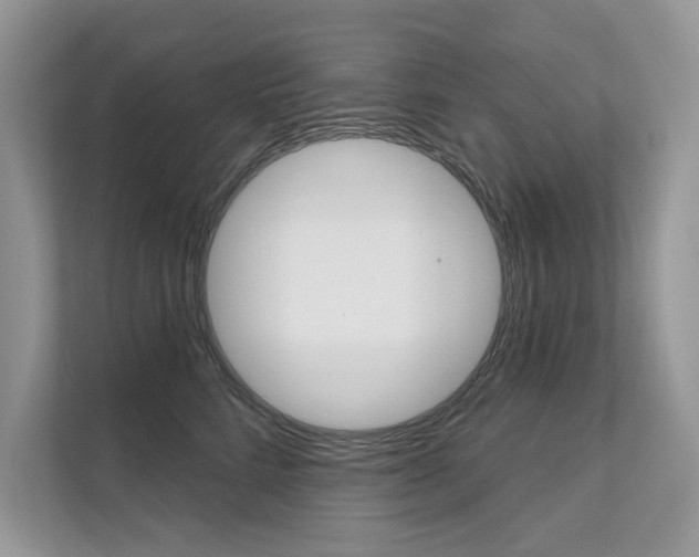 X0000111670712200907171444