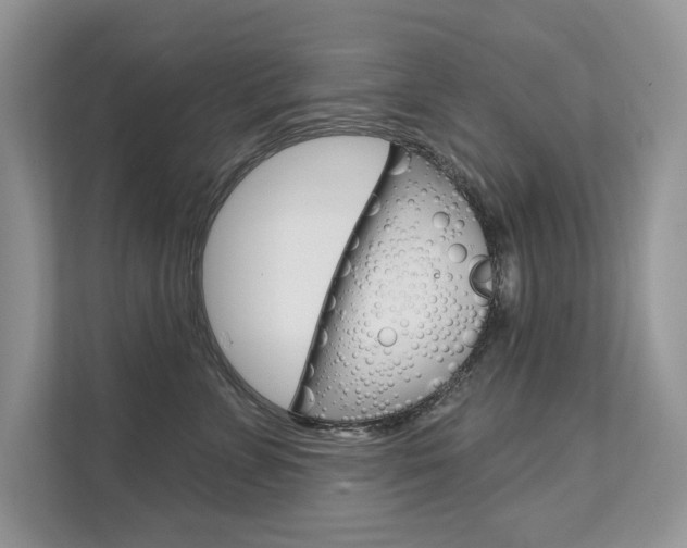 X0000111670715200907171444