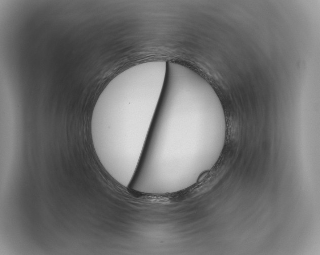 X0000111670719200907171444