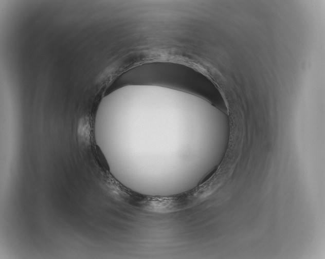 X0000111670720200907171444