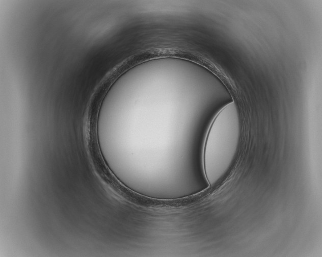 X0000111670722200907171444