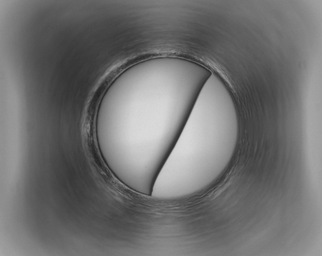 X0000111670723200907171444