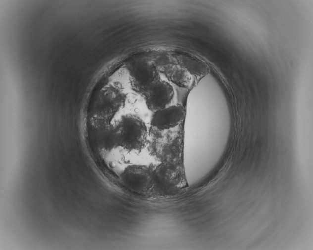 X0000111670725200907171444