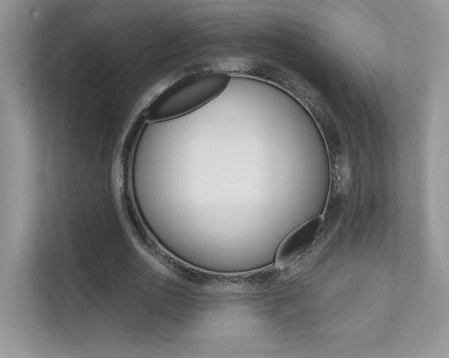 X0000111670726200907171444