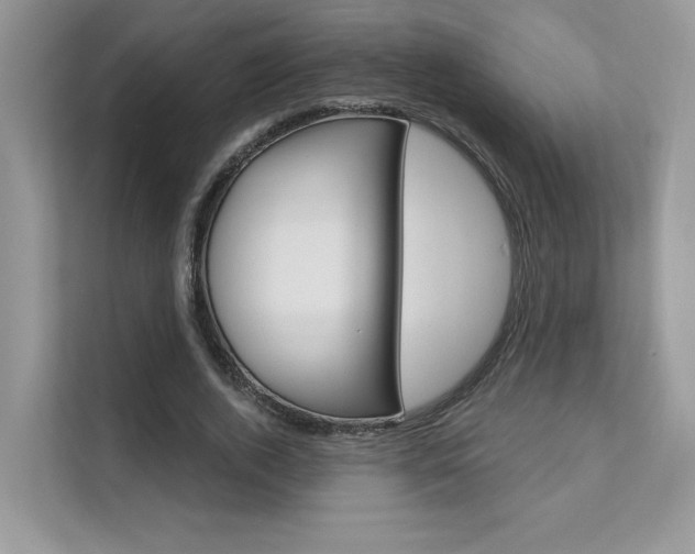 X0000111670728200907171444