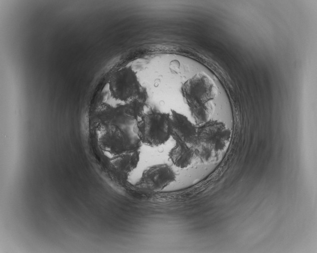 X0000111670729200907171444