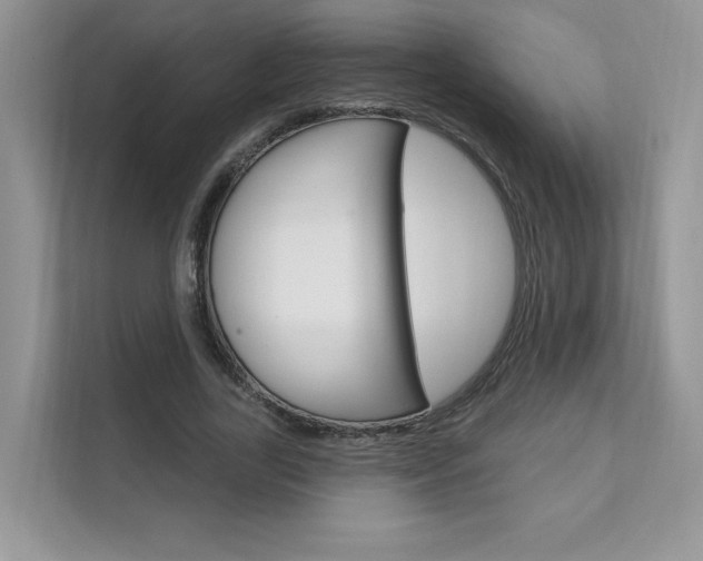 X0000111670731200907171444