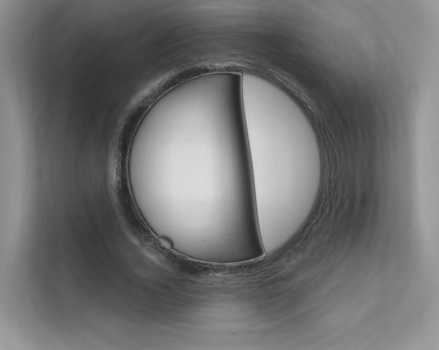 X0000111670732200907171444