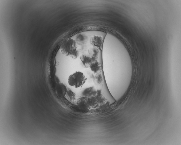 X0000111670733200907171444