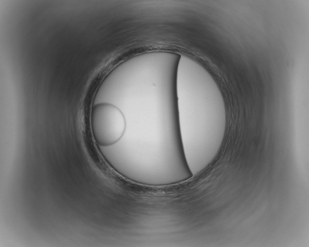 X0000111670734200907171444