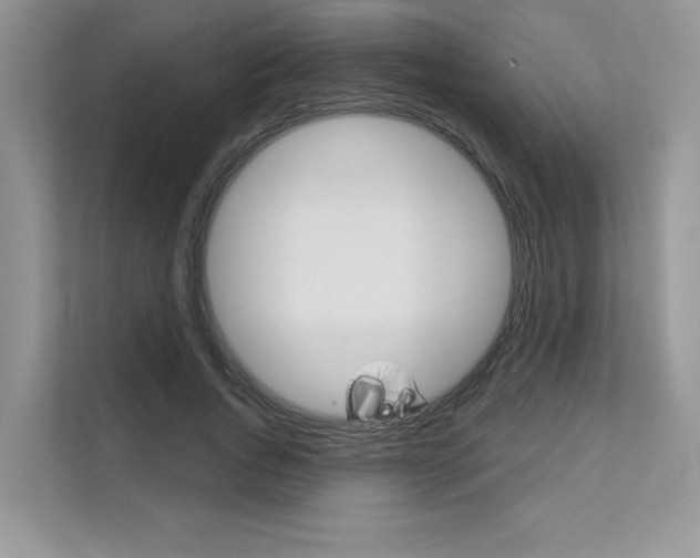 X0000111670736200907171444