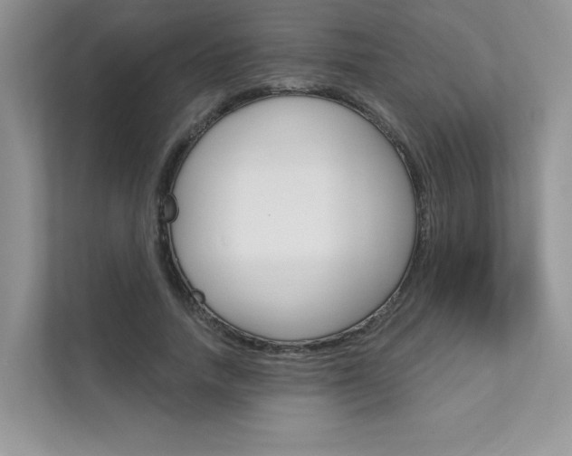 X0000111670738200907171444