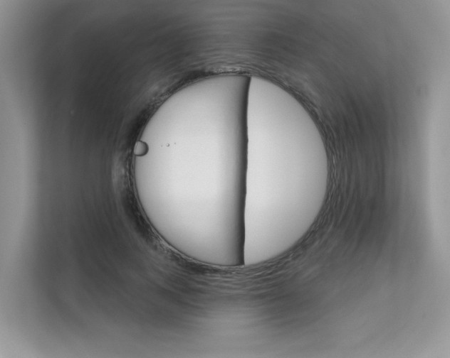 X0000111670743200907171444