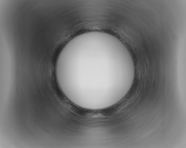 X0000111670747200907171444