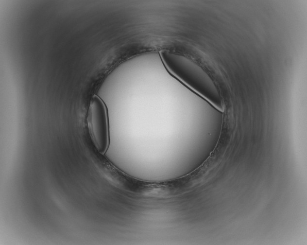 X0000111670750200907171444