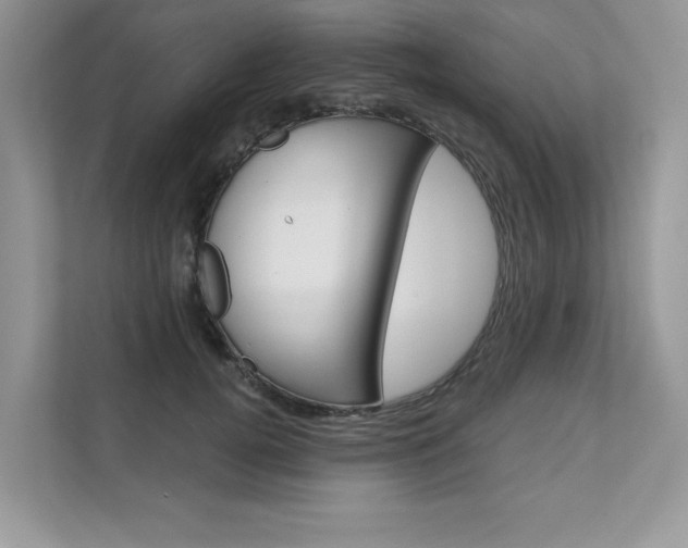 X0000111670752200907171444