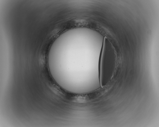X0000111670756200907171444