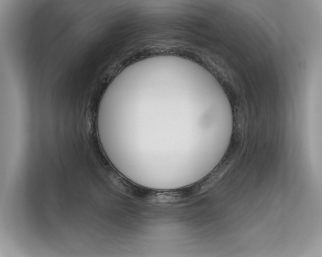 X0000111670758200907171444