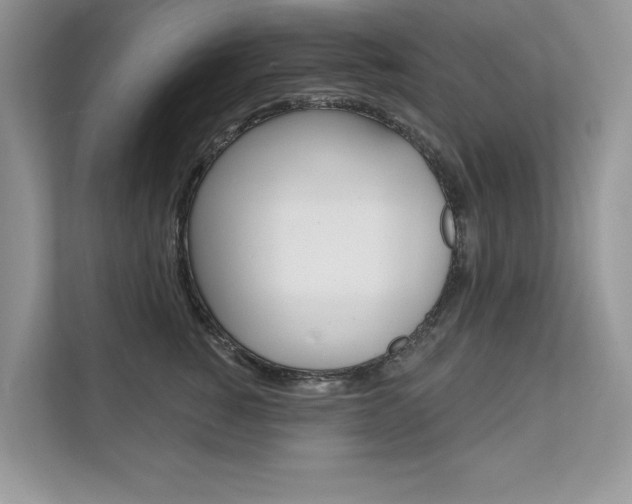 X0000111670760200907171444