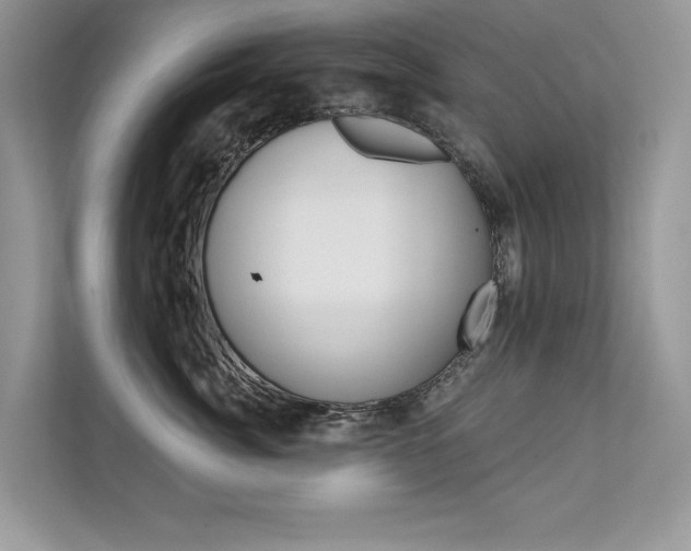 X0000111670764200907171444