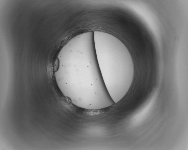 X0000111670767200907171444