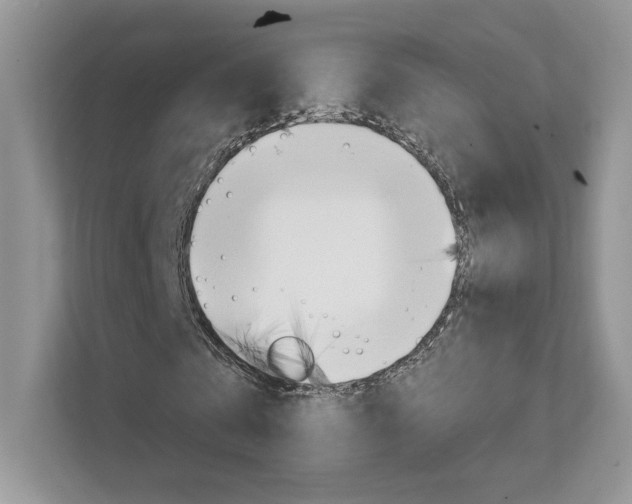 X0000111670769200907171444