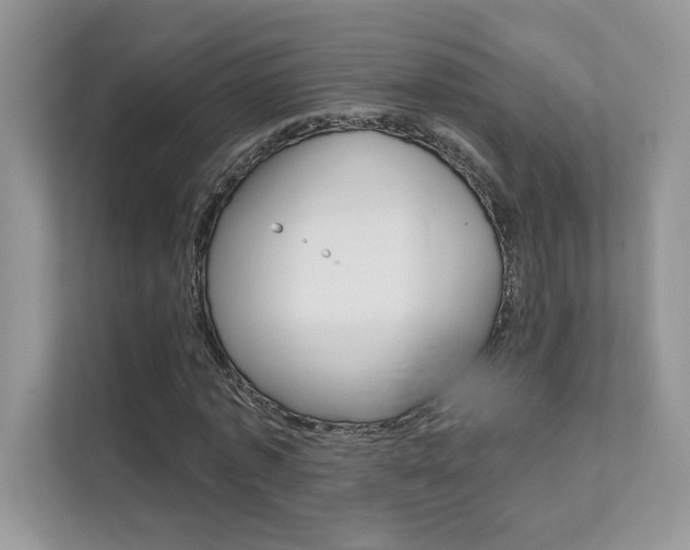 X0000111670773200907171443
