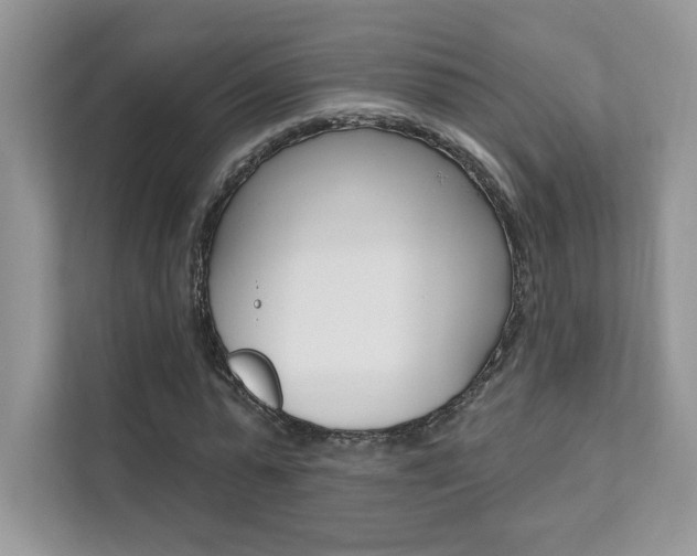 X0000111670775200907171443