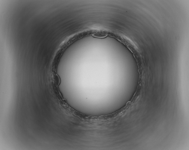 X0000111670776200907171443