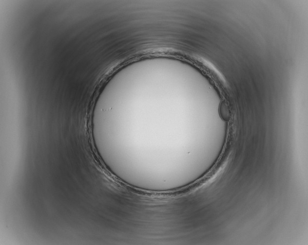X0000111670777200907171443
