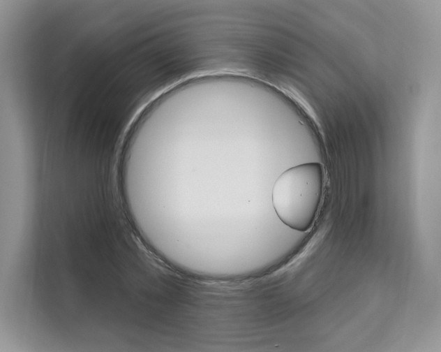 X0000111670781200907171443