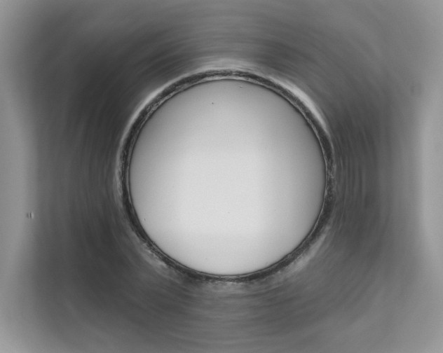 X0000111670783200907171443