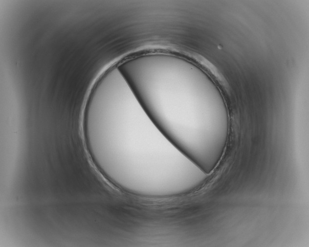 X0000111670791200907171443